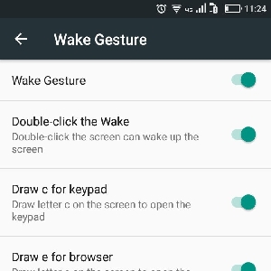 Wake Gesture