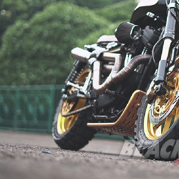 Modifikasi Harley Davidson Sportster - Scrambler Bad Boy