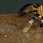 Ilmuwan Ini Buat Robot Kepiting Yang Lebih Kecil Dari Kutu