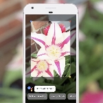 Google Lens Buat Kamera Ponsel Kenali Beragam Objek