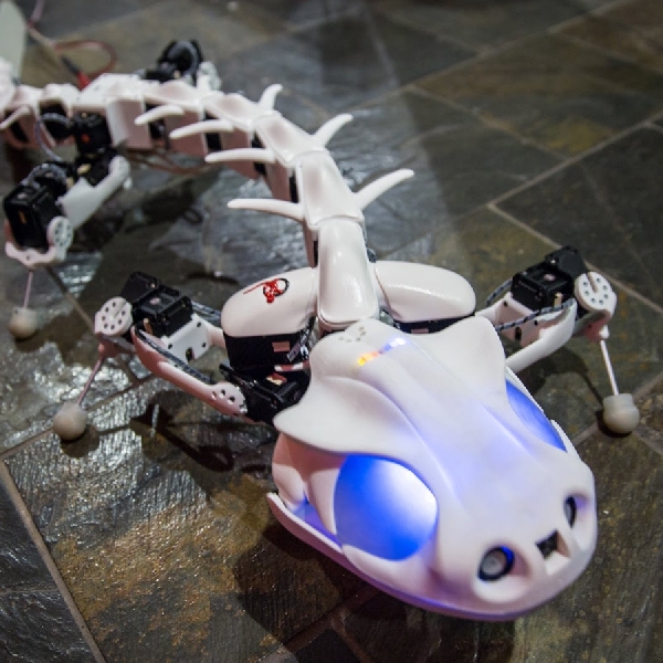 Robot Salamander ini Dapat Bergerak di Air dan Daratan