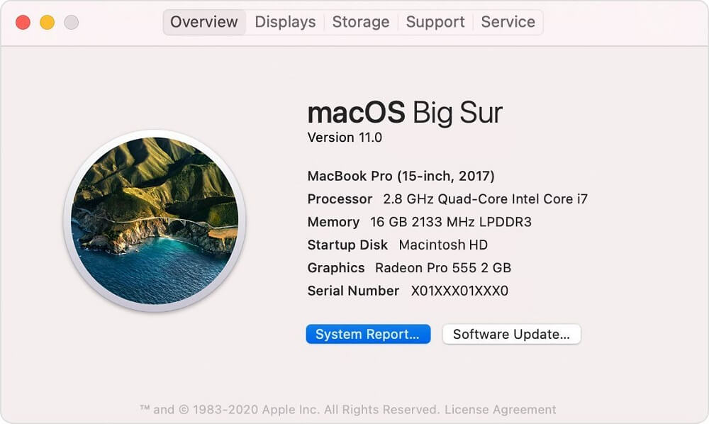 macos-big-sur-mac-overview-system-report-1.jpg (1000×598)