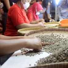 Filosofi Kopi Tour 2015