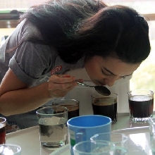 Filosofi Kopi Tour 2015