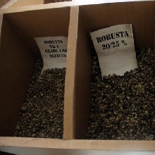 Filosofi Kopi Tour 2015