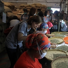 Filosofi Kopi Tour 2015