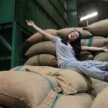 Filosofi Kopi Tour 2015