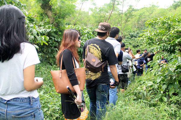 Filosofi Kopi Tour 2015