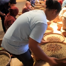 Filosofi Kopi Tour 2015