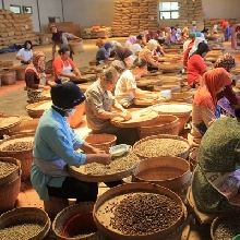 Filosofi Kopi Tour 2015