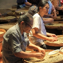 Filosofi Kopi Tour 2015