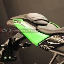 Kawasaki Ninja 250 RR Mono, Paduan Gaya Balap Dan Comfort Riding