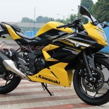 Kawasaki Ninja 250 RR Mono, Paduan Gaya Balap Dan Comfort Riding