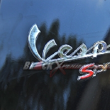  Badge Front Wing