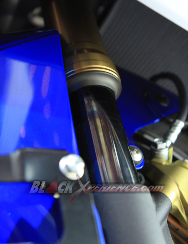 Suzuki GSX 1300R Hayabusa Paduan Ciamik Speed and Style