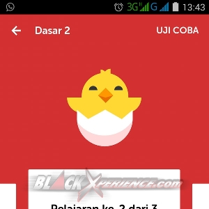 Duolingo-Modul-Latihan