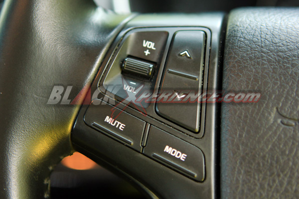 Audio Steering Switch
