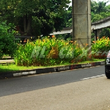 Akselerasinya Lambat di RPM Rendah