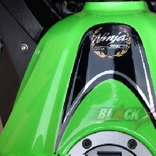 Logo edisi spesial 30 tahun 