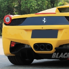 Buritan Terlihat Agresif