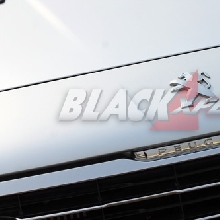 Logo Singa Tanpa List Chrome