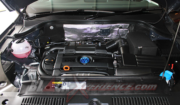 New Volkswagen Tiguan, Liar Bagai Macan