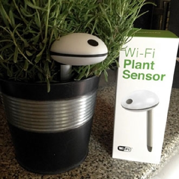 Kontrol Kebutuhan Tanaman Dengan Koubachi Wi-fi Plant Sensor