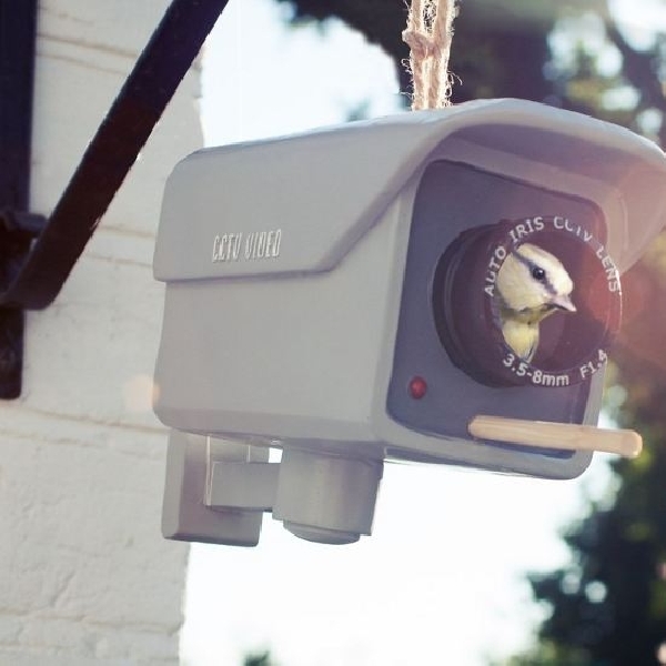 CCTV ini tersamar layaknya rumah burung