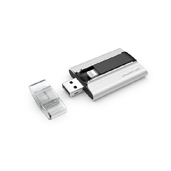 SanDisk iXpand Flash Drive, Jodohnya iPad