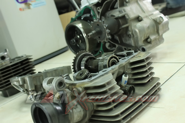 Bikin Segar Tampang Honda Tiger