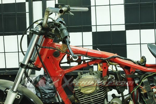 Bikin Segar Tampang Honda Tiger