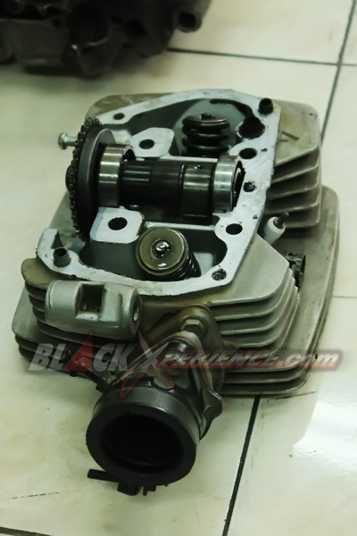 Bikin Segar Tampang Honda Tiger