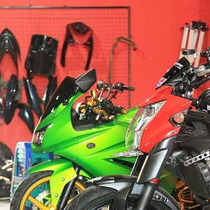 Kawasaki Ninja 250 dan Kawasaki ER6