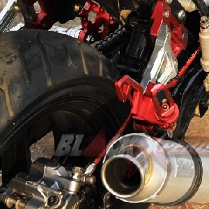 Kaki-kaki bagian belakang