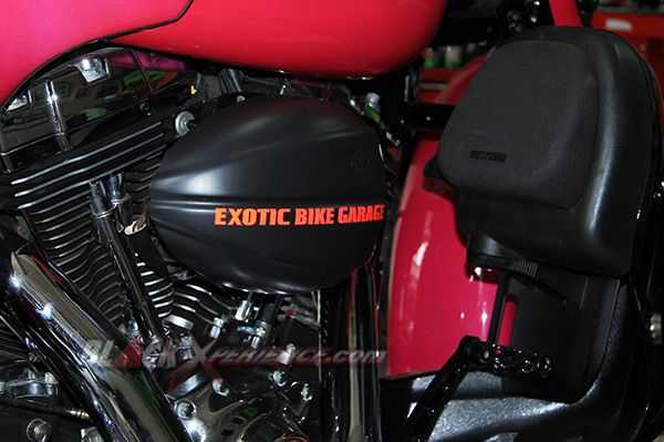 Emblem Exotic Bike 