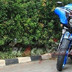 Airbrush Tribal Membuat Modifikasi Harley-Davidson Streetglide Makin Hidup