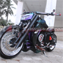 Vixion Bulls Win's Perkawinan Chopper dan Fighter