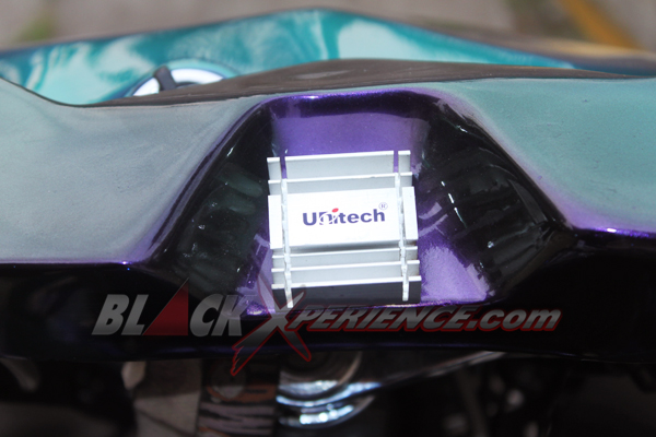 Vixion Bulls Win's Perkawinan Chopper dan Fighter