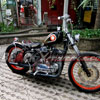 HD Sportster Cermin Nasionalisme