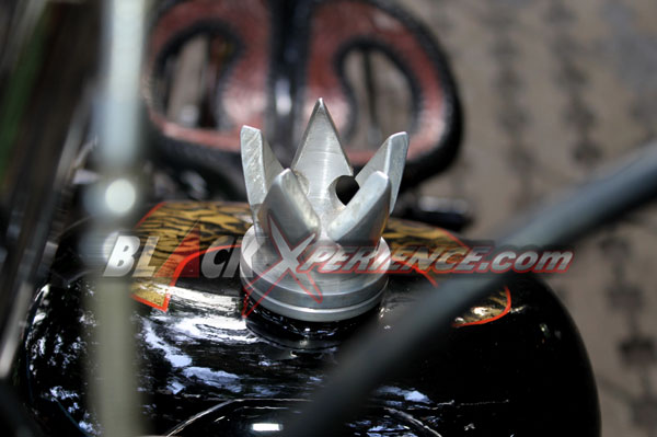 HD Sportster Cermin Nasionalisme