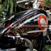 HD Sportster Cermin Nasionalisme