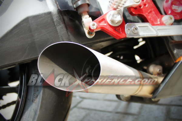 Ninja 250 Rasa Ducati Desmosedici