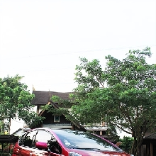 Stella Tak Ingin Kalah dengan Pria