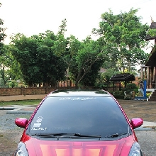 Stella Tak Ingin Kalah dengan Pria