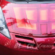 Stella Tak Ingin Kalah dengan Pria