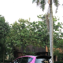 Stella Tak Ingin Kalah dengan Pria