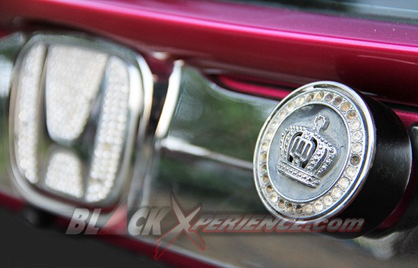 Stella Tak Ingin Kalah dengan Pria