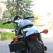 Harley-Davidson Sportster Forty Eight Sarat Aksesoris