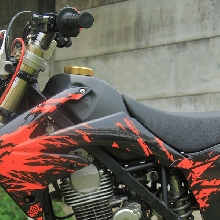Mesin Kawasaki D-Tracker150