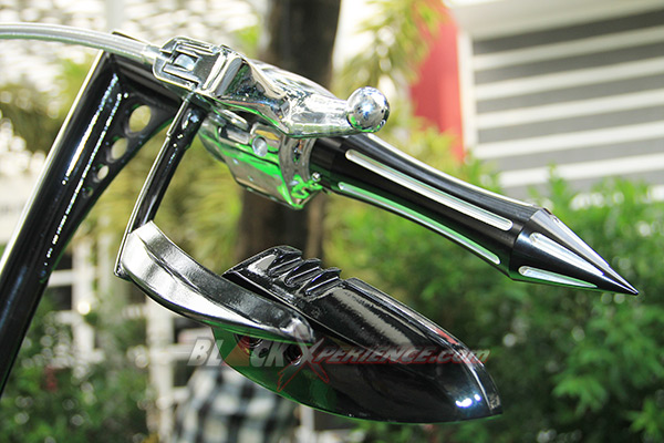 Spion dan handgrip Arlennes